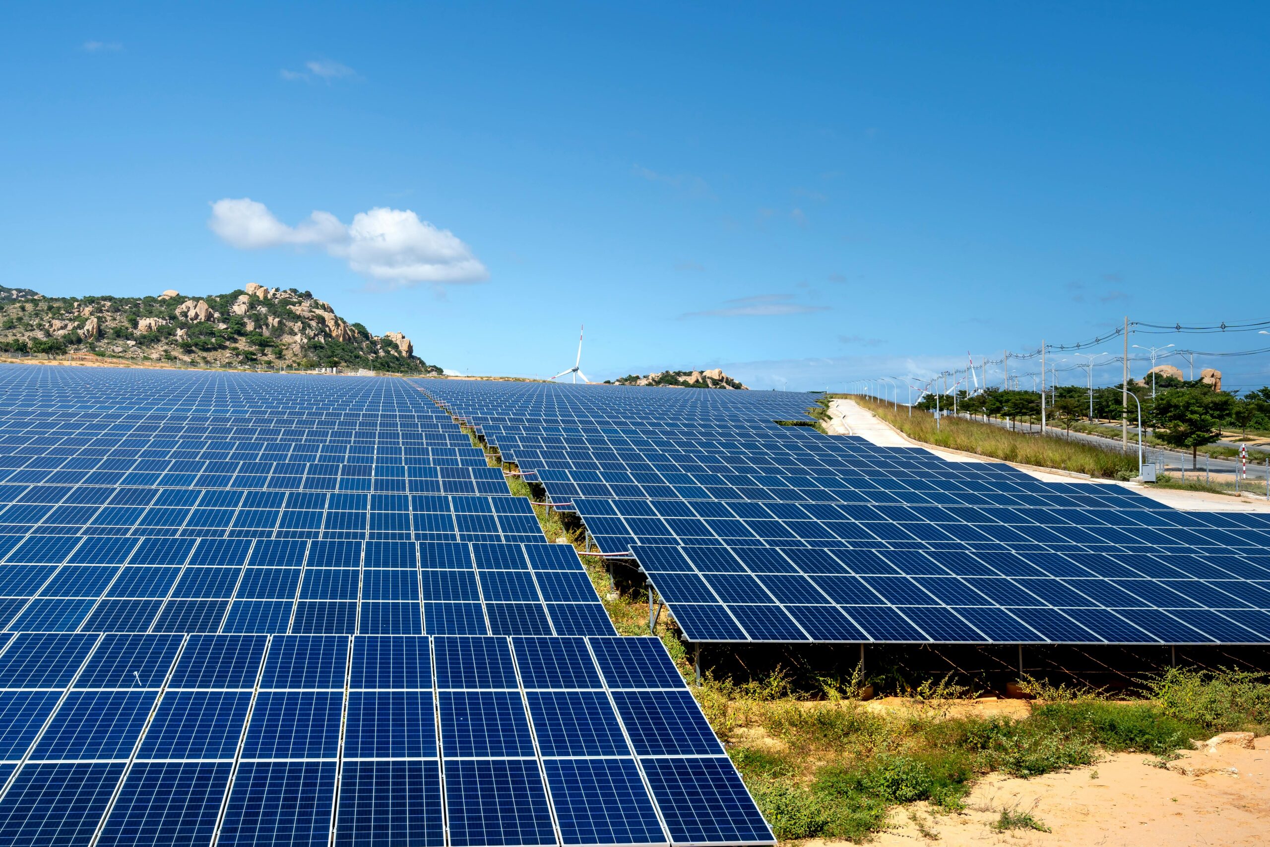 Solar Purchase vs. Solar Lease: What Is Best For Your Business